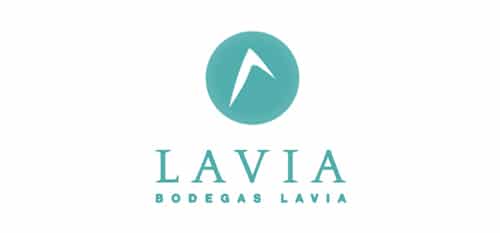 cliente-lavia